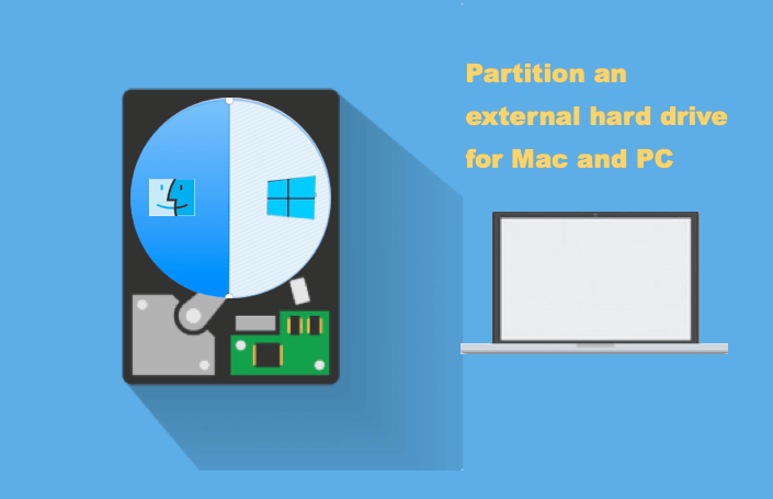 paritions used for both windows and mac